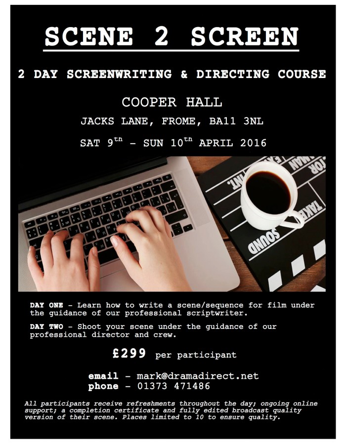 POSTER FOR SCENE TO SCREEN Cooper Hall April 9th &amp; 10th 2016